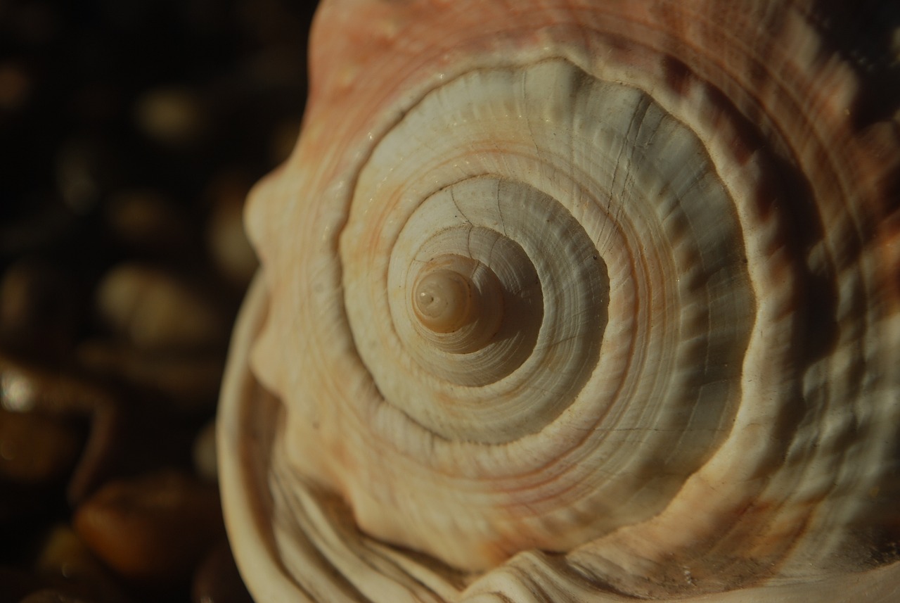 Is Weighing the Immaterial Realities Possible through Metaphysics?